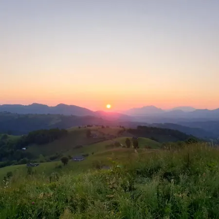 Pensiunea Soarelui 3*