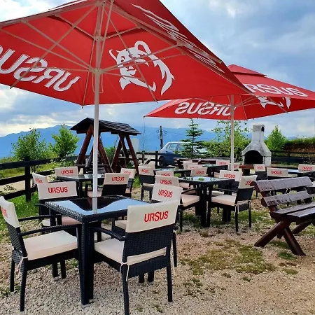 Pensiunea Soarelui Guest house